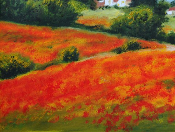 Landscape with poppies