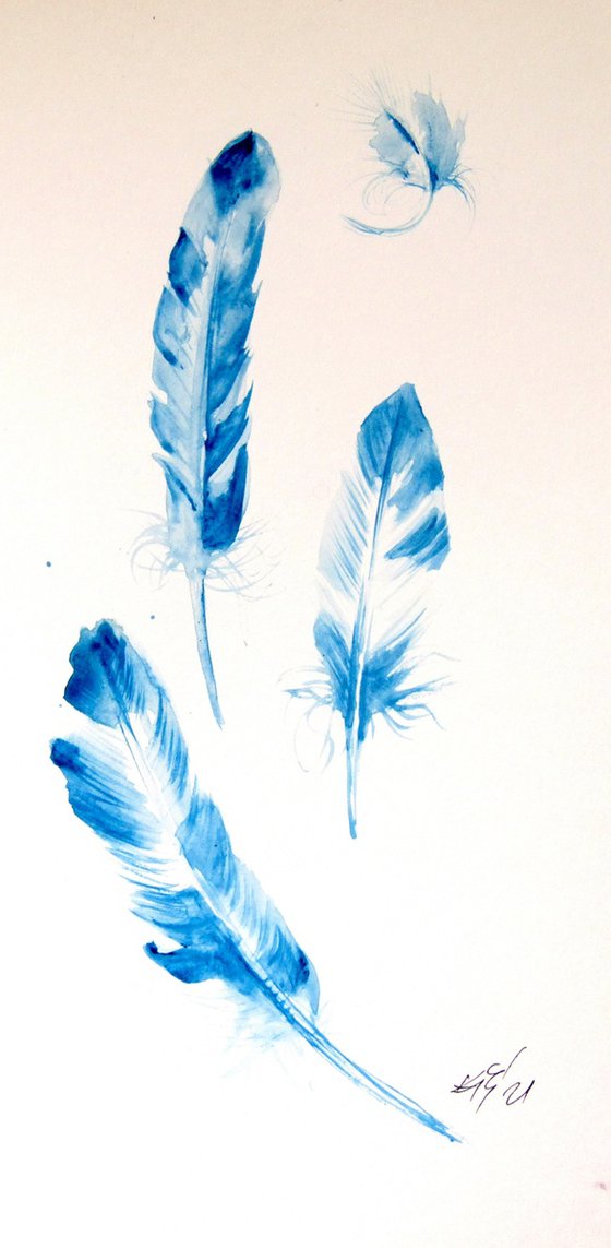 Feathers collection