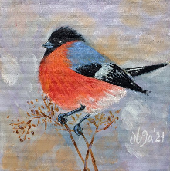 Bird oil painting - Bullfinch small canvas artwork - Christmas gift for bird lover (2021)