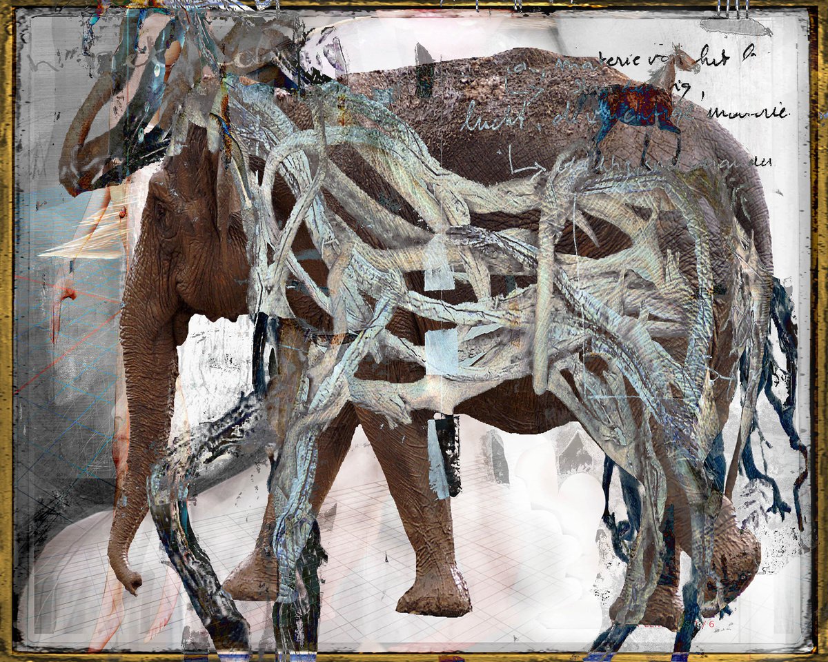 Expressive Animal Photograph By Geert Lemmers Fpa, 39 X 31, Honor For Disappeared Species, Original Artwork