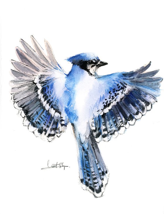 Flying Blue Jay Bird