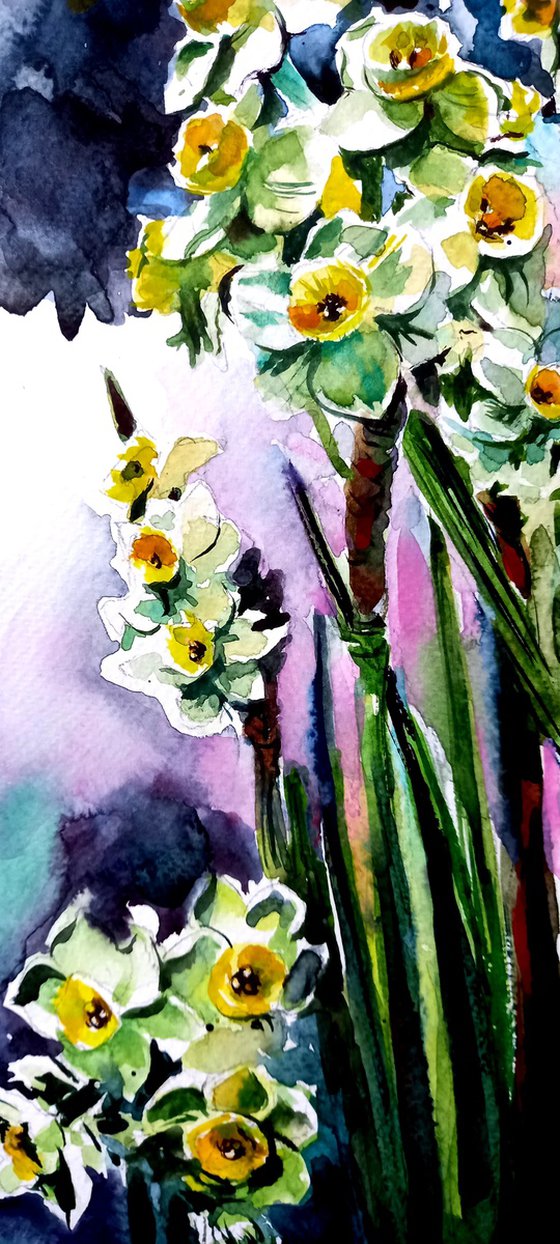 Narcissus florals