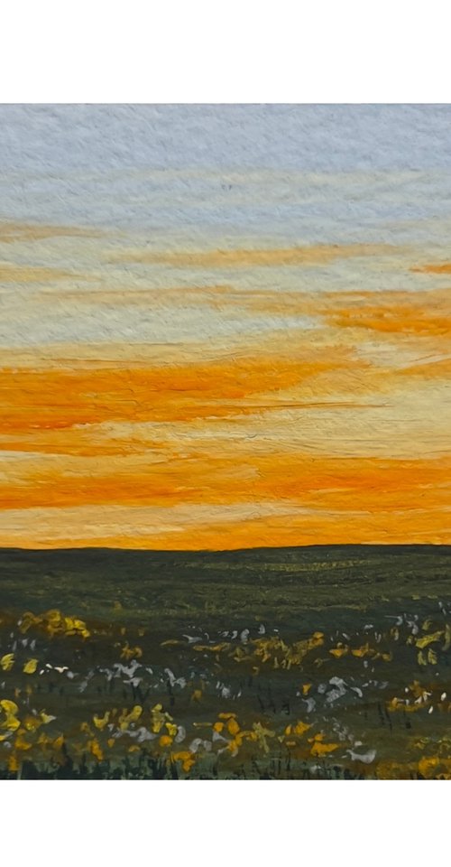 Blumenwiese im Abendrot - Miniature Art by Sophie Kruszynski