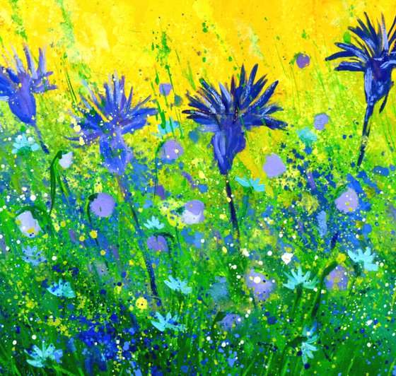 Blue symphony
