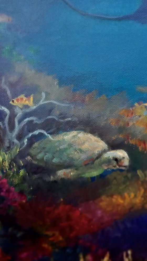 Pacific Reef