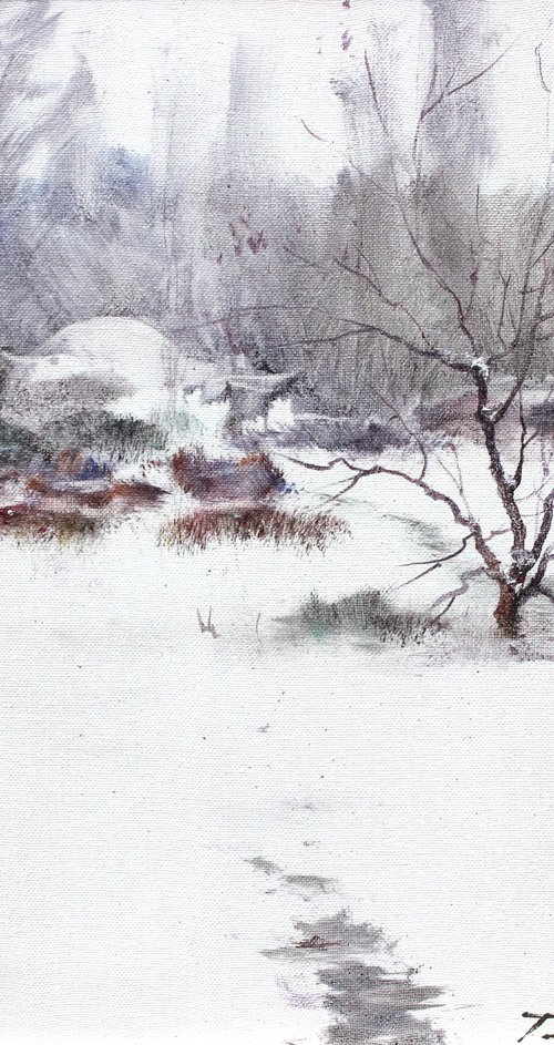 Winter contrast by Volodymyr Tarabanov