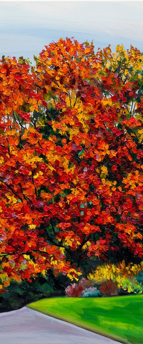 Orange Maple with Evergreen by Christina M Plichta