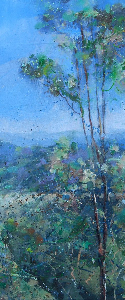 Witches Falls.Tamborine Mountain by Trevor Salisbury
