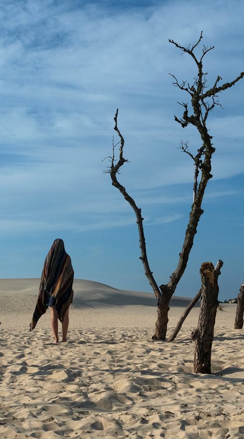 Polish Desert - Slowinski National Park by Jacek Falmur