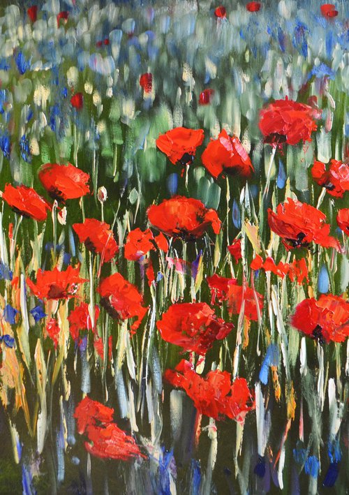 Poppy Field by Valeriia Radziievska