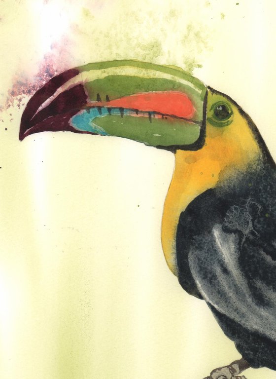 Toucan Twist - Original Watercolour Painting
