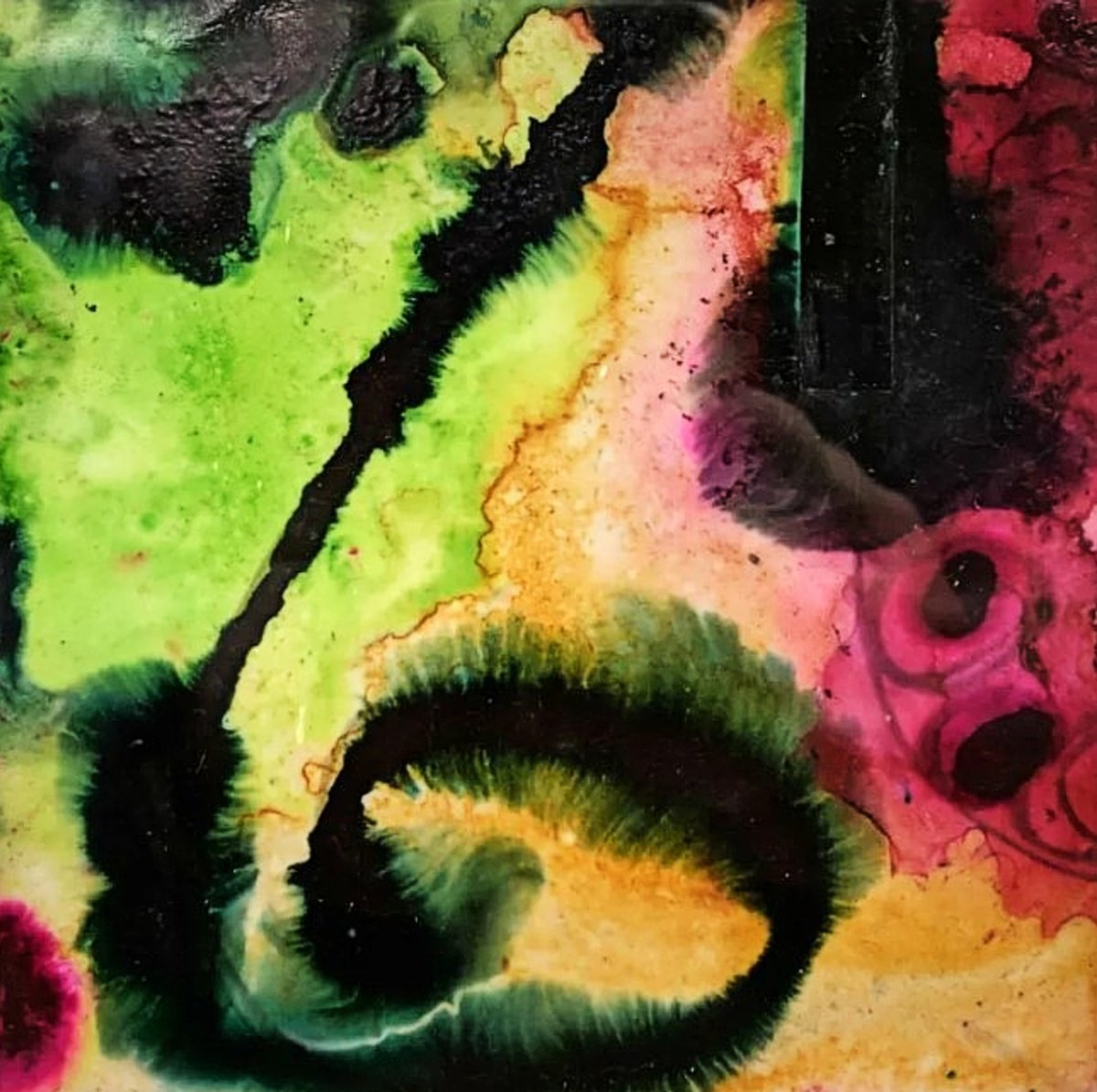 Organic Abstract Painting By Shelli Finch, 12 X 12", Jealous, Original Artwork