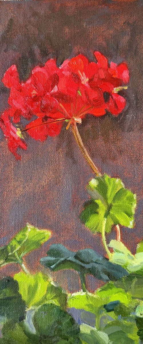 Red Flower by Nataliia Nosyk