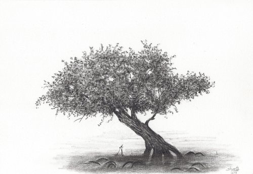 Mangrove Tree by Shweta  Mahajan