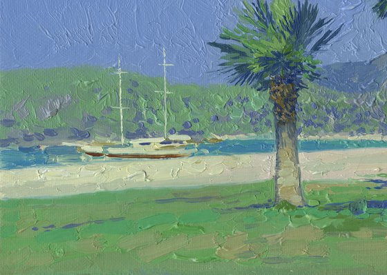 The palms. Oludeniz
