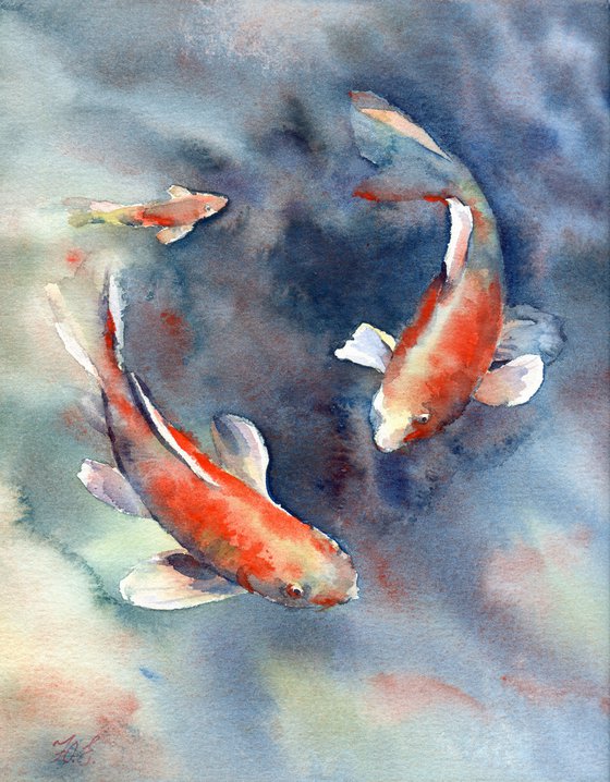 Koi fish, Three fishes in blue-green water