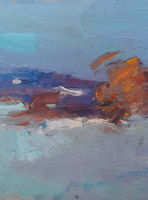 Winter is Snowy by Alexander Shandor