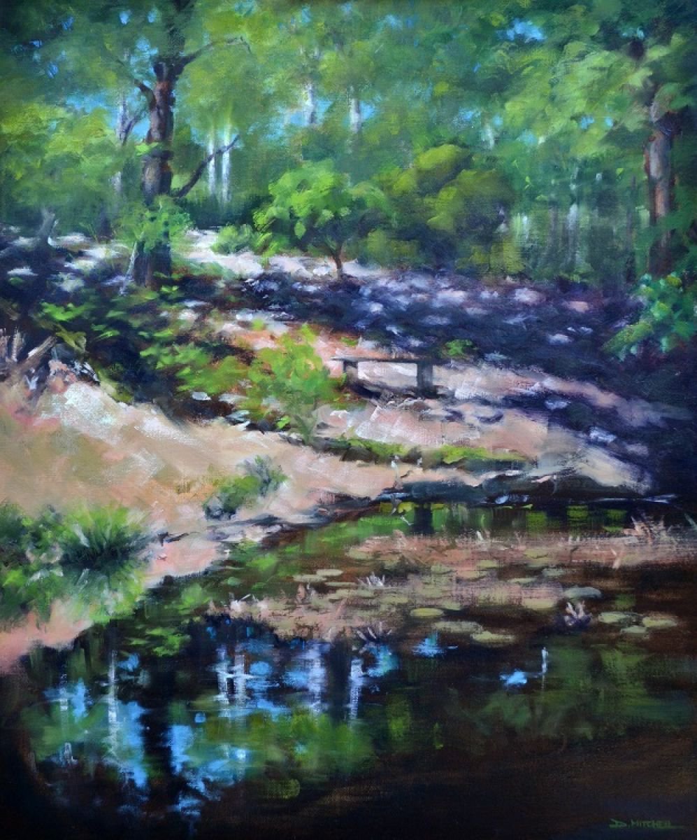 Woodland Walk (Framed, ready to hang) by Denise Mitchell