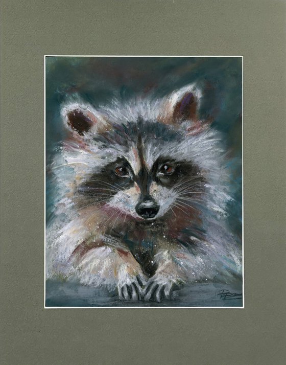 Raccoon portrait  (pastel)