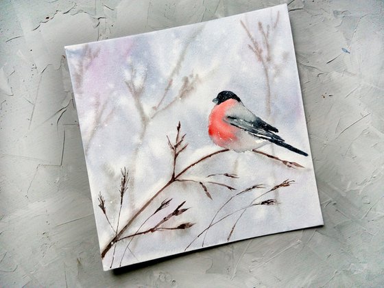 Bullfinch \ Winter Bird