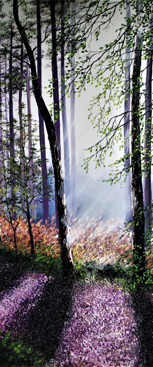 Awakening Light Through The Forest by Hazel Thomson