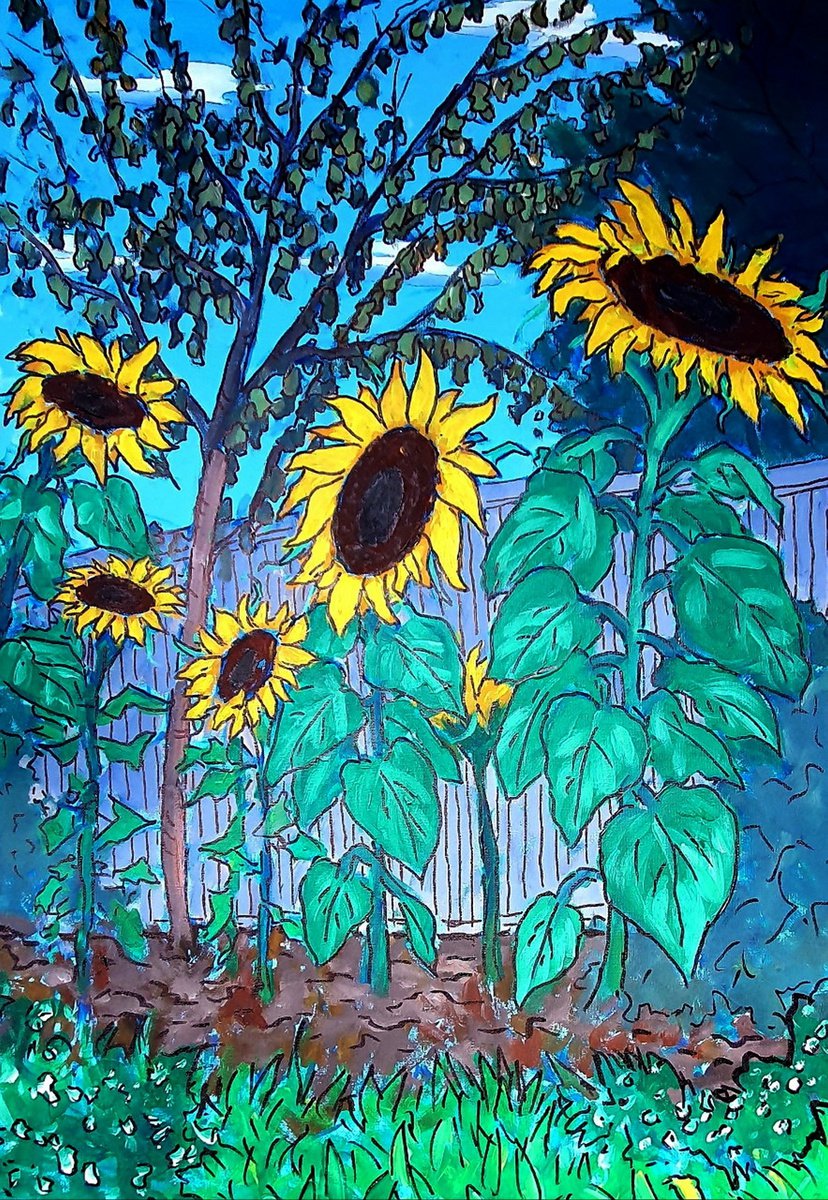 Botanical Oil Painting By Colin Ross Jack, 20 X 30, Sunflowers In Garden, Original Artwork
