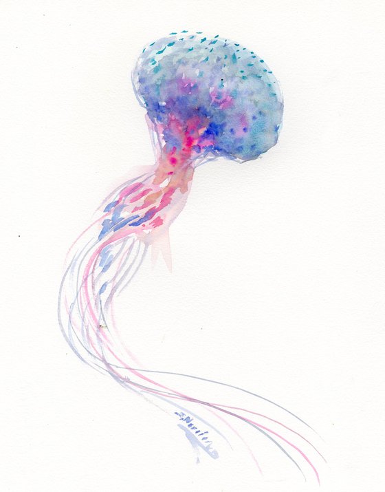 Jellyfish