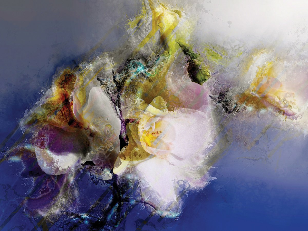 Abstract Botanical Print By Javier Diaz, 99 X 60, Delirios Xv, Original Artwork