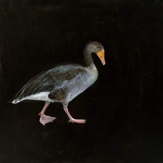 Aubrey the Greylag Goose