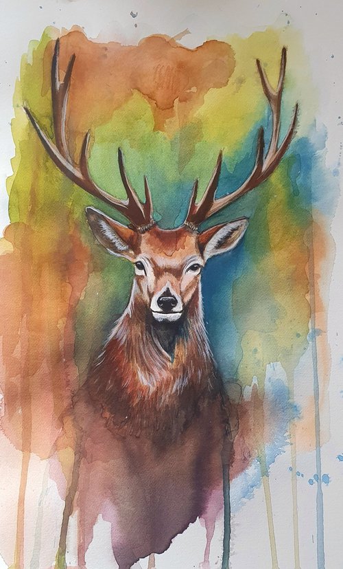 Deer stag watercolour painting by Silvia Frei