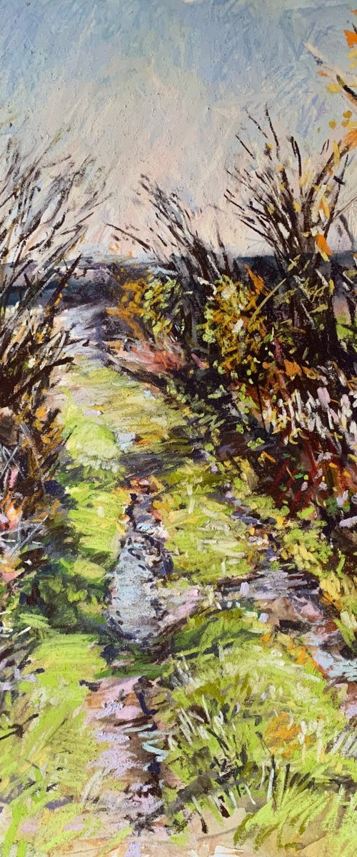 Drift Lane November by Andrew Moodie