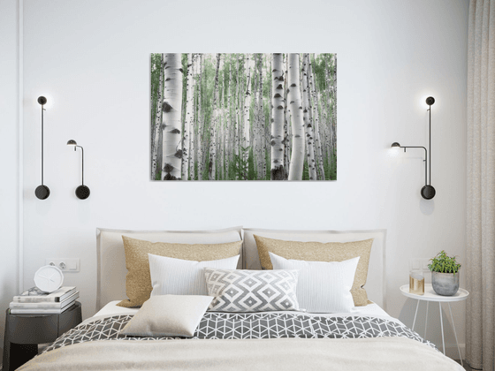 July Aspens