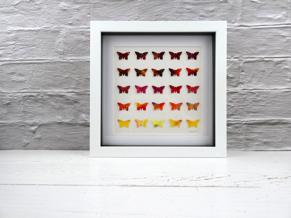 25 Golden butterflies by Tracey Mason