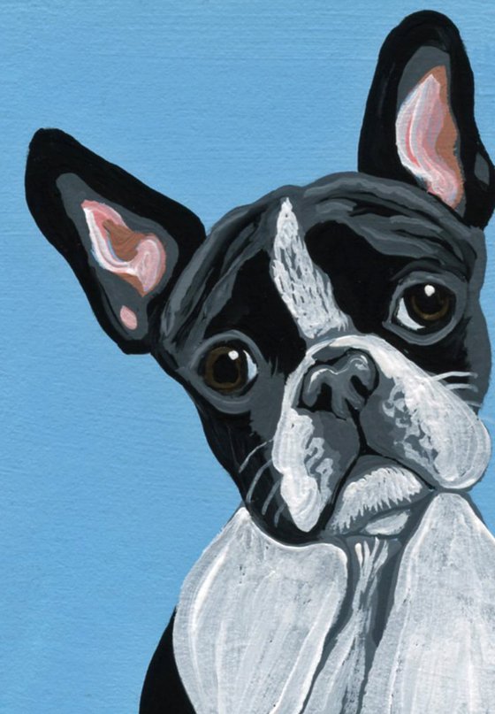 ACEO ATC Original Miniature Painting Boston Terrier Pet Dog Art-Carla Smale