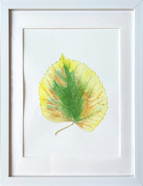 Autumn leaf Sketch #2 by Tetiana Kovalova