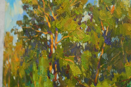 Pine forest