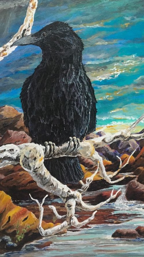 Storm Crow by Donna Daniels