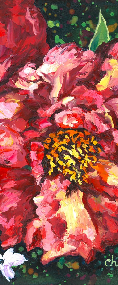 Rosy Peony by Christina M Plichta