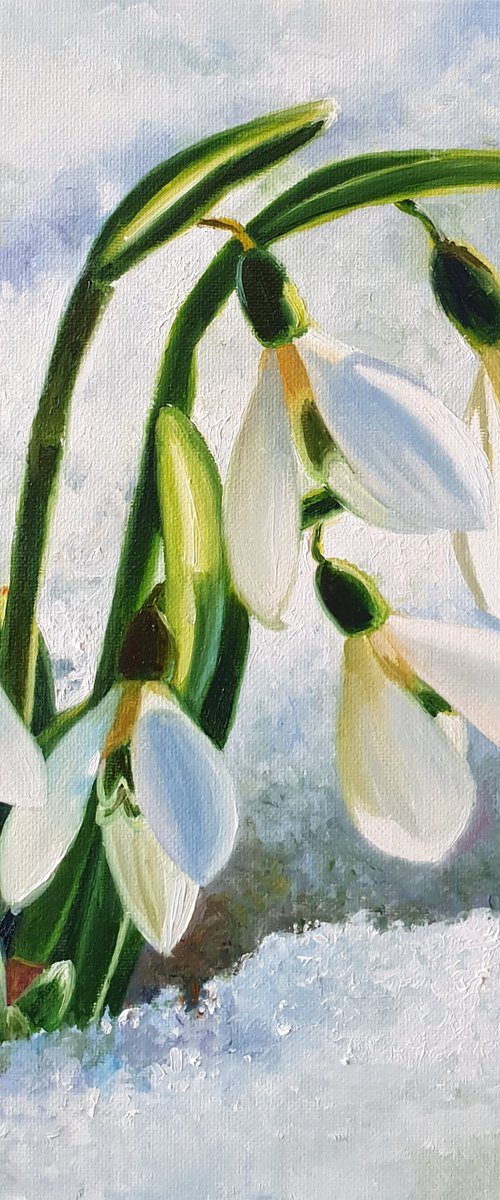 "Spring is coming. "  flower  liGHt original painting  GIFT (2020) by Anna Bessonova (Kotelnik)