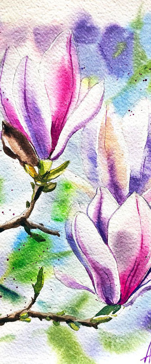 Magnolia Sketch by Ksenia Astakhova