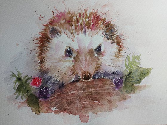 Bramble the hedgehog