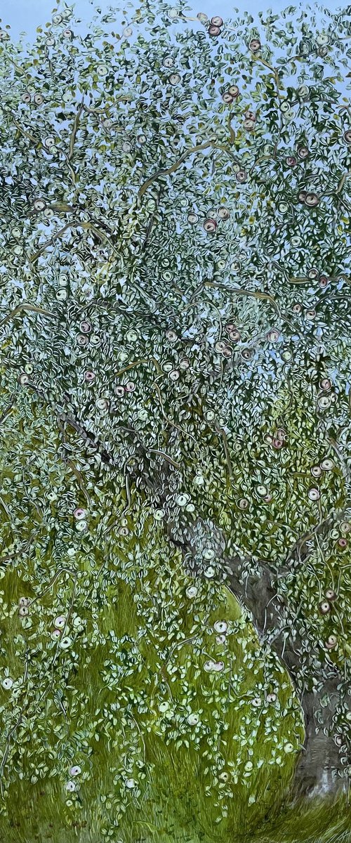 Apple tree by Maija Nochevnaya