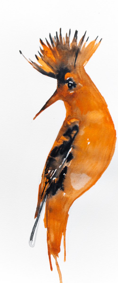 Bird by Nadia Moniatis
