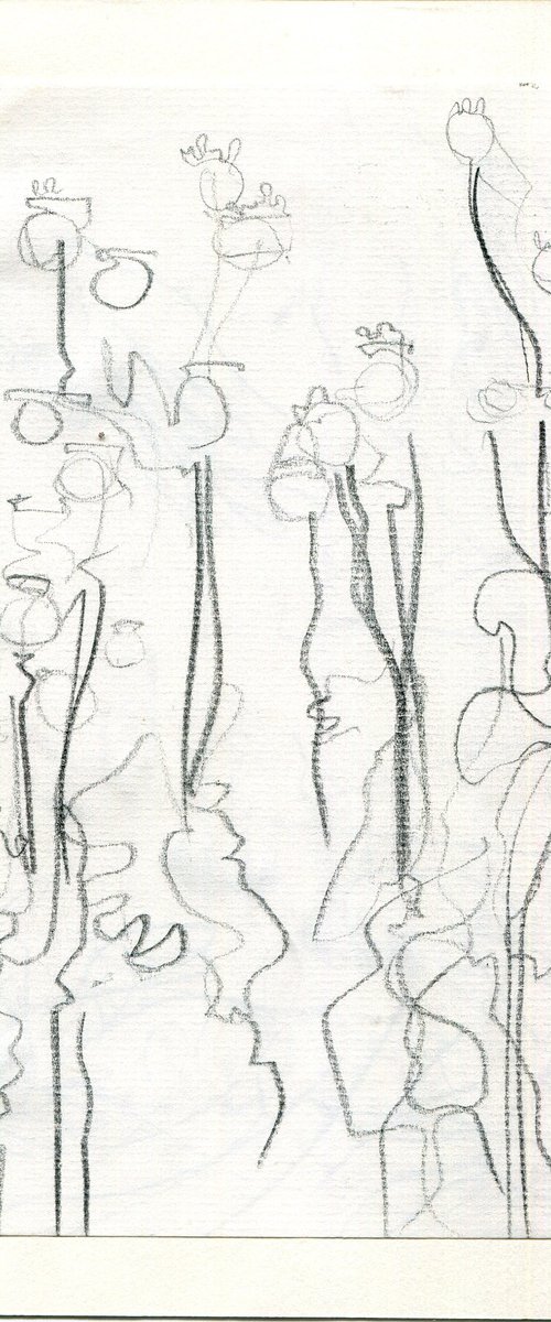 Poppy Seeds pencil sketch by Hannah Clark