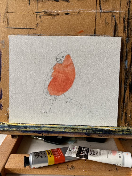 Mister Bullfinch