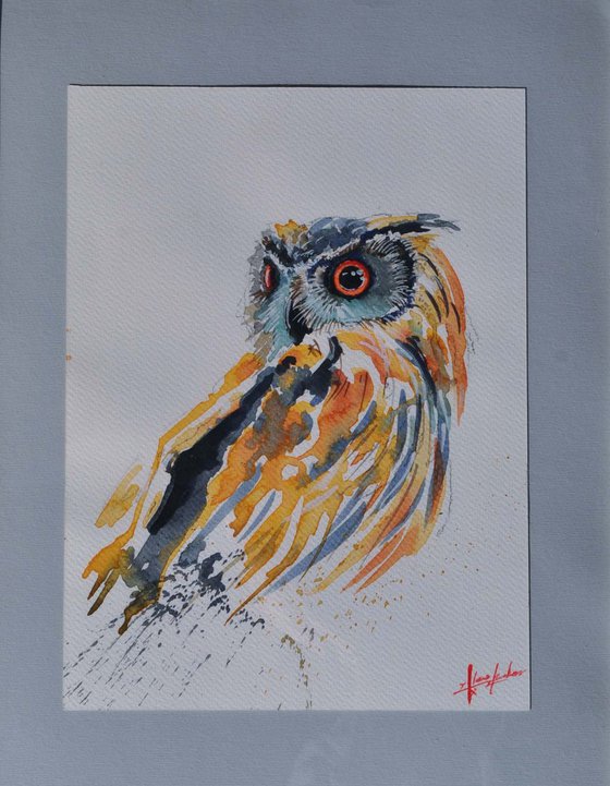 Small owl portrait