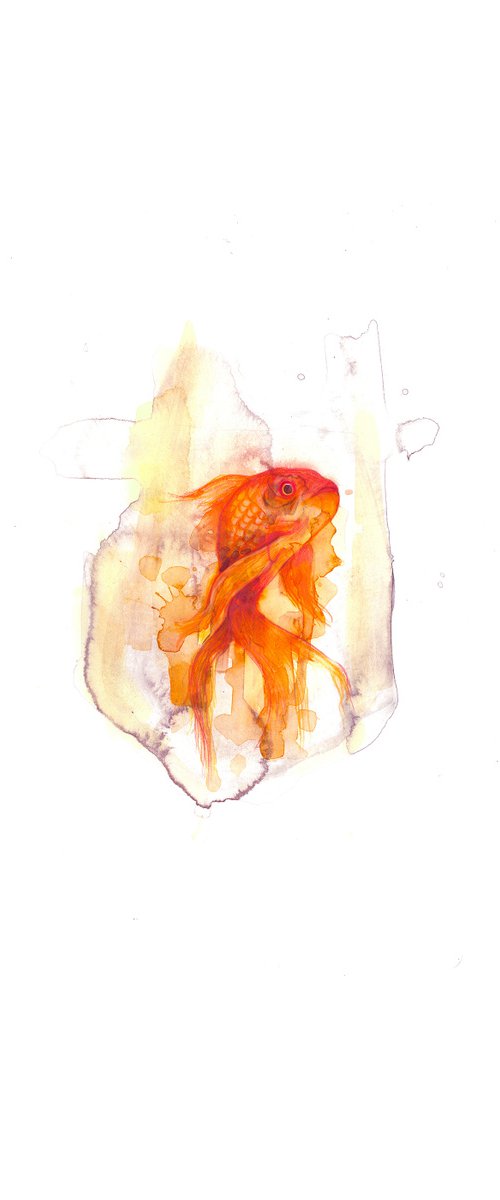 Goldfish by Gavin Dobson