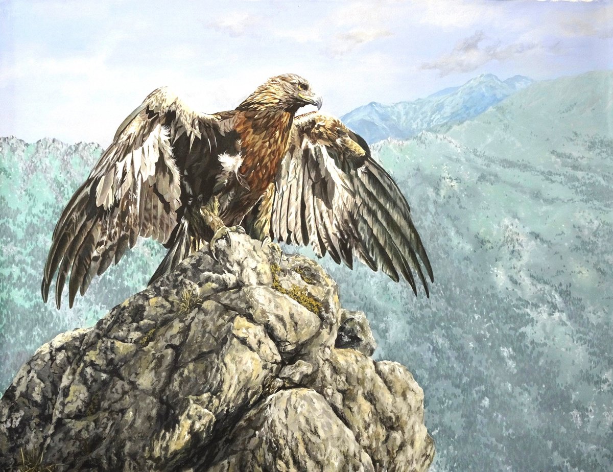 Royal Eagle By Julian Wheat, 31 X 25, Artwork For Sale On Artfinder