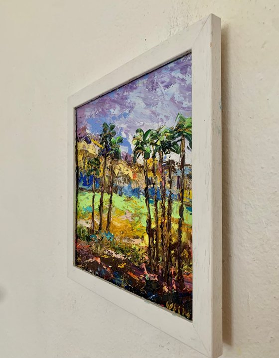 Palm Springs landscape