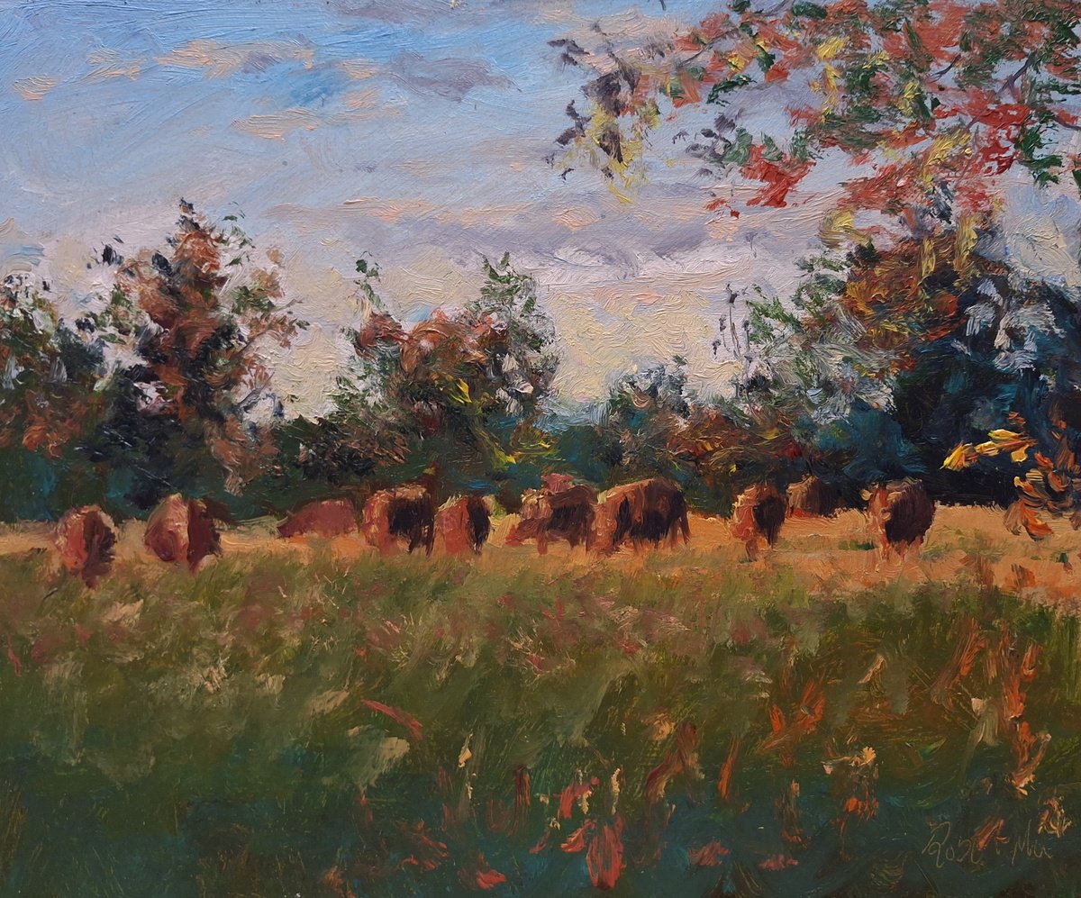 Cattle Grazing In Rural France by Robert Mee